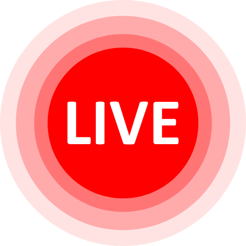 Mollyflwers Live